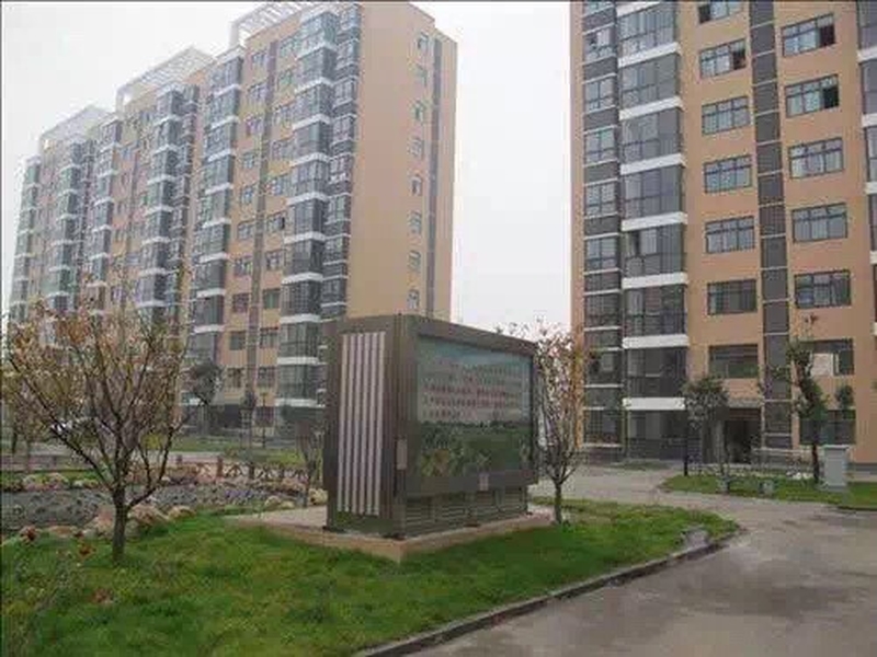 成功案例
